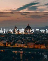 草莓视频多端同步与云备份