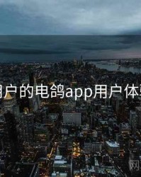 面向用户的电鸽app用户体验报告