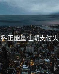 关于黑料正能量往期支付失败排查