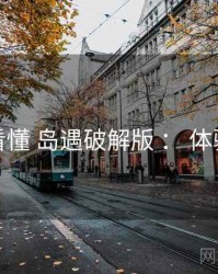 一文看懂 岛遇破解版 ： 体验优化