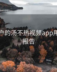 面向用户的汤不热视频app用户体验报告