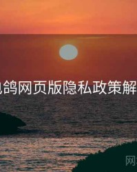 电鸽网页版隐私政策解读