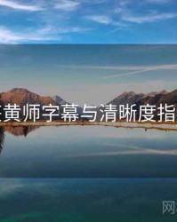 鉴黄师字幕与清晰度指南