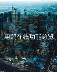 电鸽在线功能总览