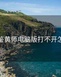 关于鉴黄师电脑版打不开怎么办
