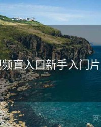 妖精视频直入口新手入门片单入门