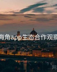 海角app生态合作观察