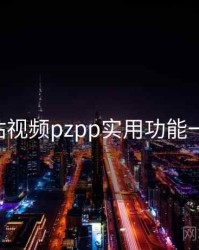p站视频pzpp实用功能一览