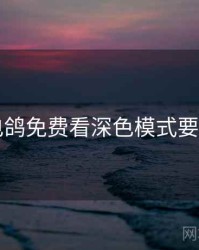 电鸽免费看深色模式要点