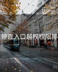 妖精视频直入口越权权限排查步骤