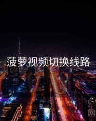 菠萝视频切换线路