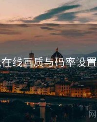 吃瓜在线画质与码率设置详解