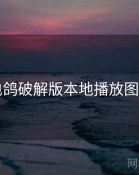 电鸽破解版本地播放图文