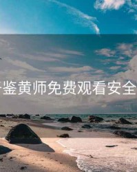 关于鉴黄师免费观看安全设置