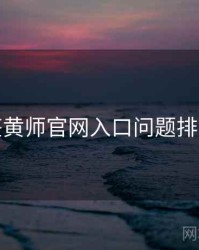 鉴黄师官网入口问题排查