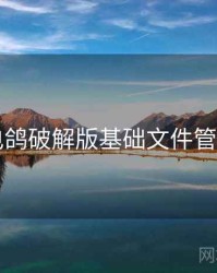 电鸽破解版基础文件管理