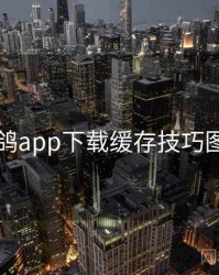 电鸽app下载缓存技巧图文