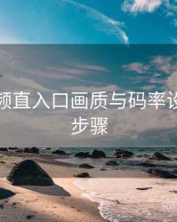 妖精视频直入口画质与码率设置详解步骤