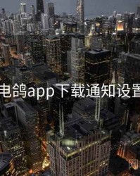 电鸽app下载通知设置