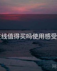 电鸽在线值得买吗使用感受与建议