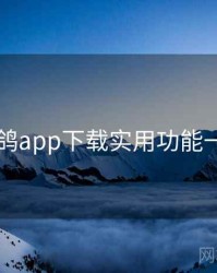 电鸽app下载实用功能一览