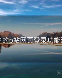 面向用户的p站网页登录功能深度测评