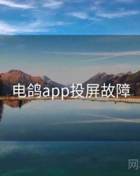 电鸽app投屏故障