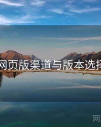 电鸽网页版渠道与版本选择建议