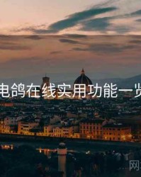 电鸽在线实用功能一览