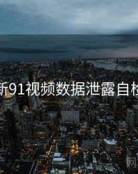 新91视频数据泄露自检