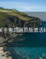 关于电鸽网页版激活码