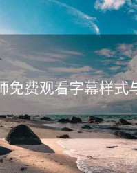 鉴黄师免费观看字幕样式与位置