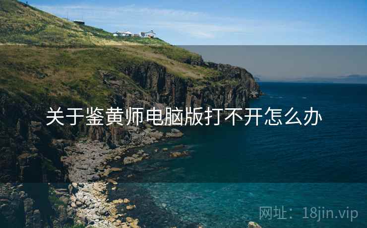 关于鉴黄师电脑版打不开怎么办