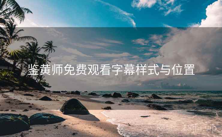 鉴黄师免费观看字幕样式与位置