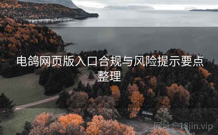 电鸽网页版入口合规与风险提示要点整理