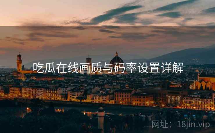 吃瓜在线画质与码率设置详解