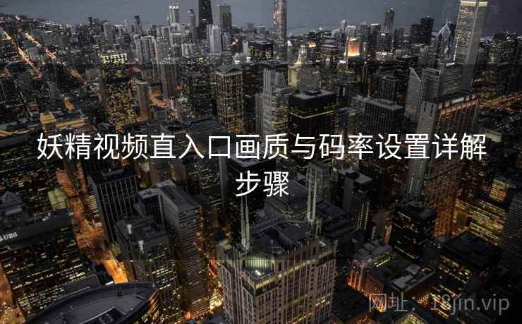 妖精视频直入口画质与码率设置详解步骤