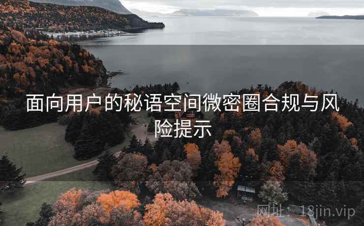 面向用户的秘语空间微密圈合规与风险提示