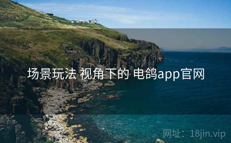 场景玩法 视角下的 电鸽app官网