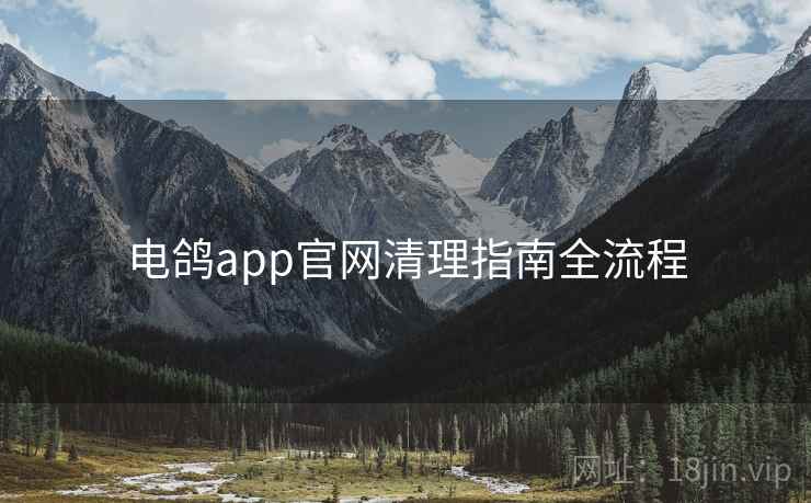 电鸽app官网清理指南全流程