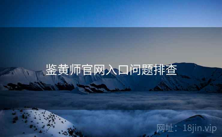 鉴黄师官网入口问题排查