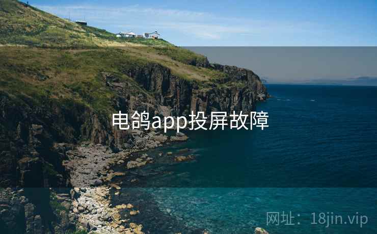电鸽app投屏故障
