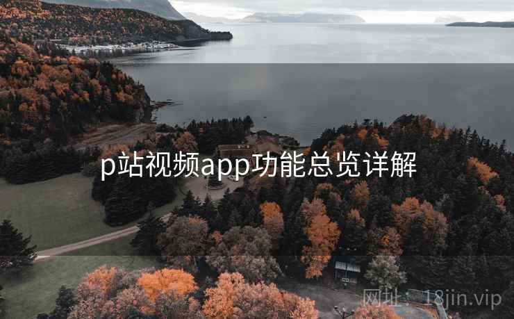p站视频app功能总览详解